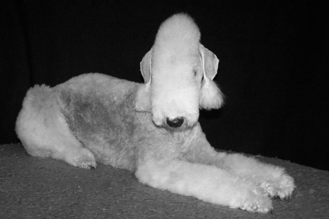 Alanna 02.03 (6).JPG